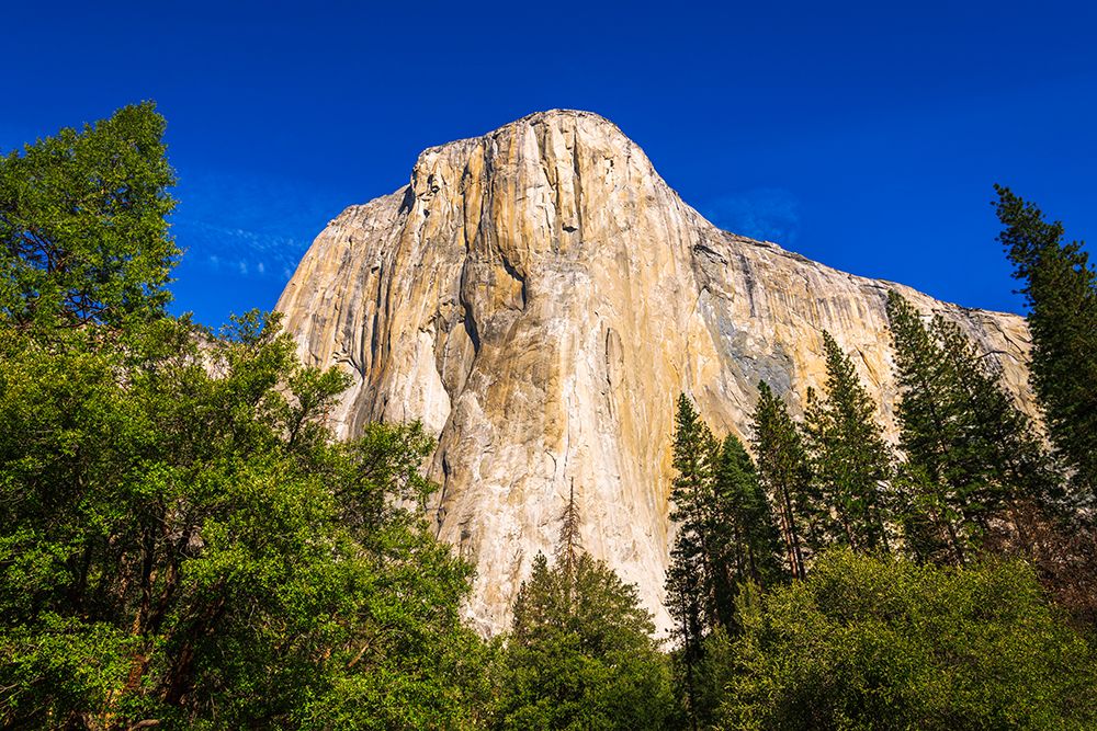 El Capitan-Yosemite Valley-Yosemite National Park-California-USA
